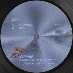 o.utlier - Pulse (ANIMA15)