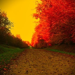 Automne (Link to video in description)