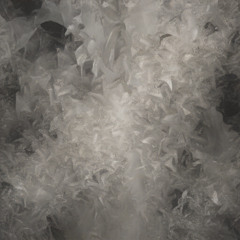 Torn All Apart - Nothing Anymore is Real