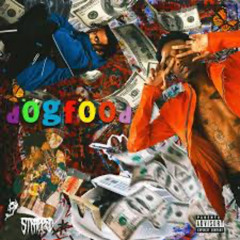 playboi carti - dogfood