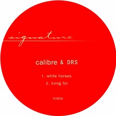Calibre - White Horses
