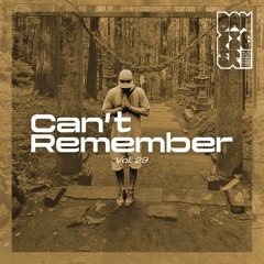 Radio Danziger Vol. 29 by Can't Remember