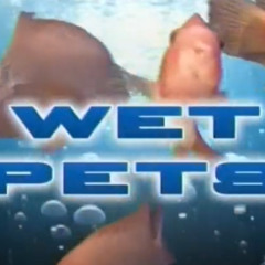 wetpets_ukg