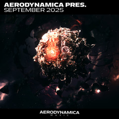 Skycode (Extended Version)
