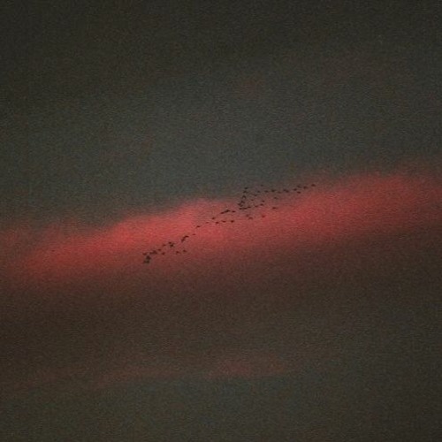 CULT MEMBER - The Ravedeath Still Hurts