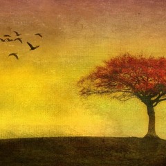 Transcendence