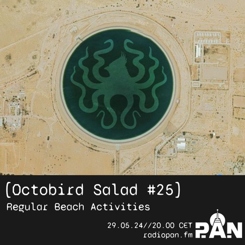 Octobird Salad #25 | Regular Beach Activities