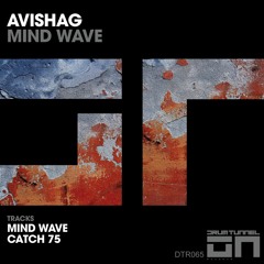 Avishag - Catch 75 (Original Mix) [Drum Tunnel Records]