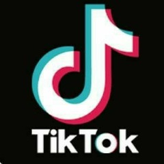 VOU TE BOTAR TE BOTAR, VOU COLAR vs BEAT SÉRIE GOLD TIK TOK - MENO K [ DJ PEROTZ ]