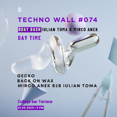 Techno Wall #074 - Daytime: BDAY BASH - 31.05.2025