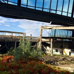 Ring of Casuality (excerpt to Uneasy Immersion - NN_LP081_01_20)