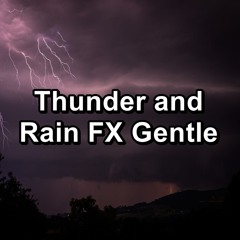 Steady Drizzle at Night with Thunder