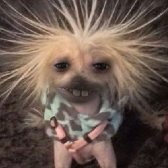 chocopie - (feat. White8rew, GORXDEK)