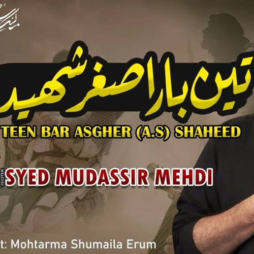 Teen Baar Asghar Shaheed | Noha Mola Ali Asghar as | Syed Mudassir Mehdi | Noha 2022 | Shumaila Erum