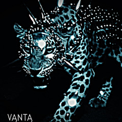 VANTA