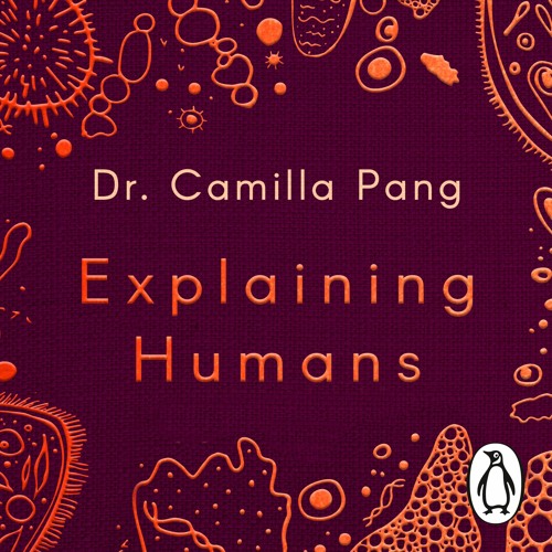 Explaining Humans Chapter 2