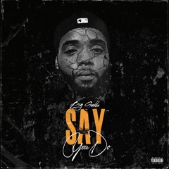 Gudda " Say You Do ( Prod By Mista J )