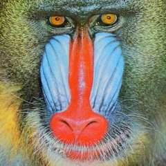 Monkey Melee