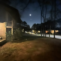 champ x mojo no flock