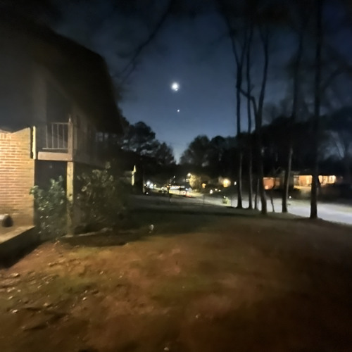 champ x mojo no flock