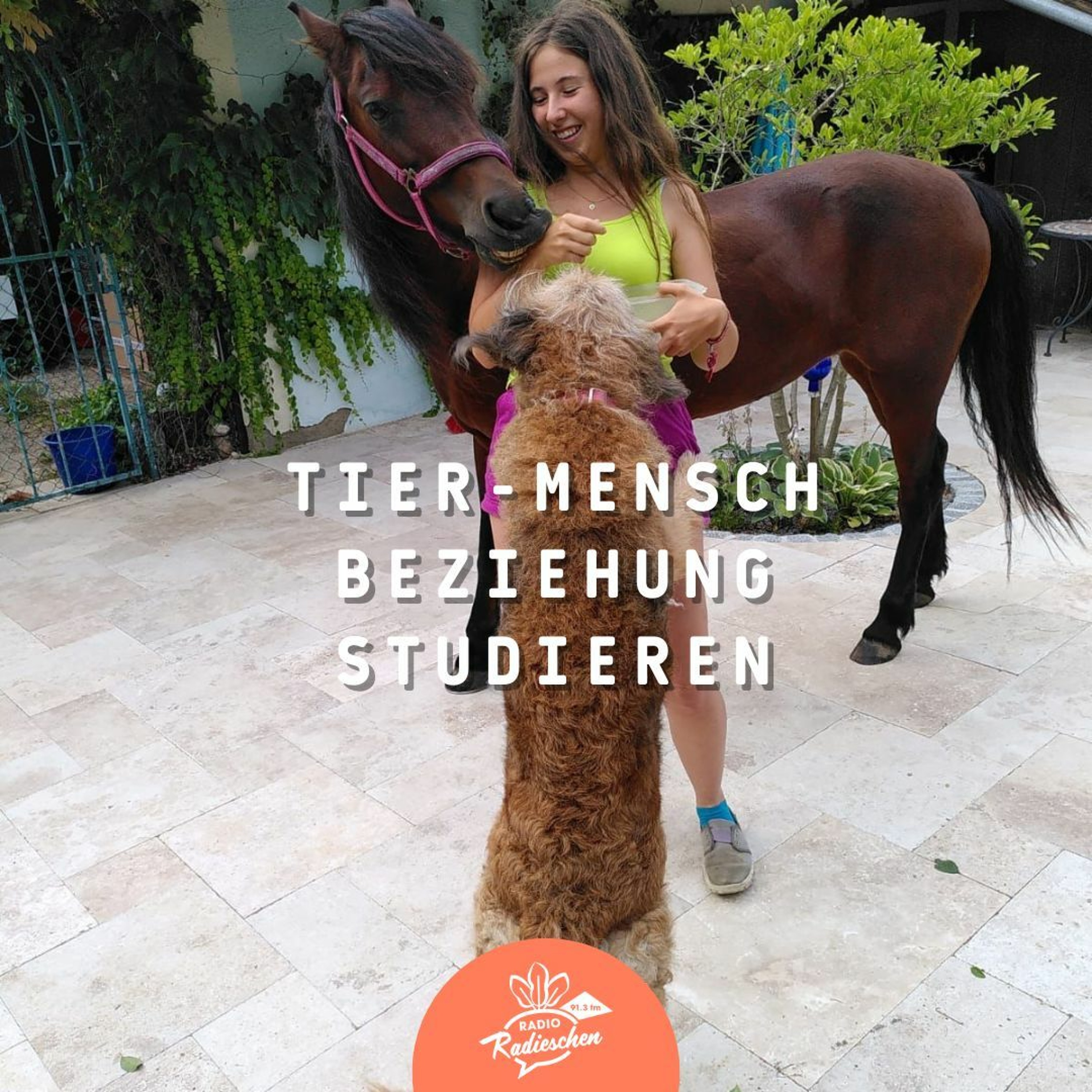Radio Radieschen
