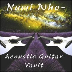 2014 Juno-G - Thick Acoustic Steel Guitars - Duo - 1st Two Minutes - Mr. Numi Who~