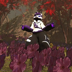 no because like what are you doing