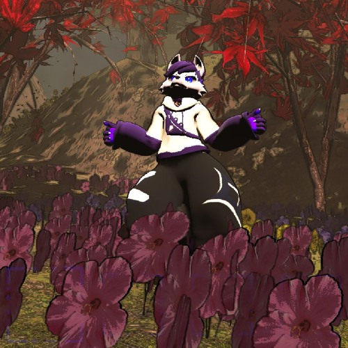 no because like what are you doing