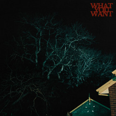 WHAT YOU WANT