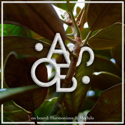 On Board series 12 - Harmonious & Modulo