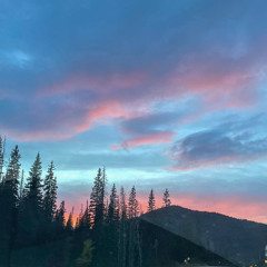 bitches broken hearts - Billie Eilish (cover)