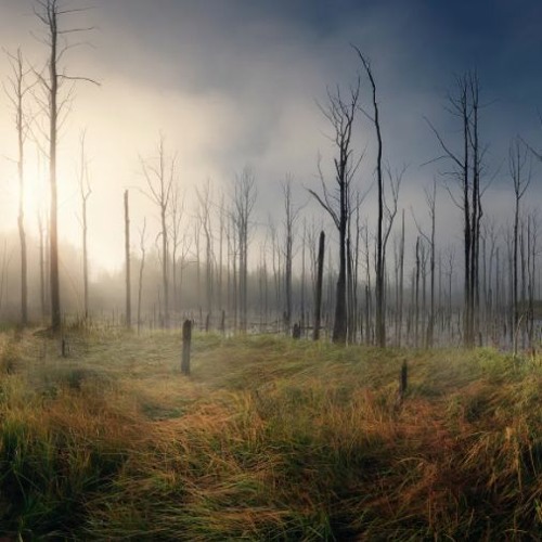 (Com good background music FREE DOWNLOAD