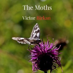 The Moths - Improvised Piano Piece