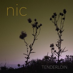 Tenderloin