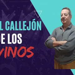 El Callejon del Vino Programa 14 Bodegas Volver