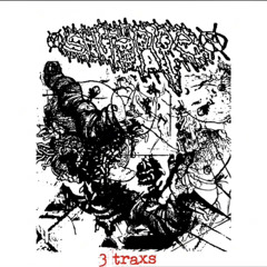 Shitpipe - 3 Tracks