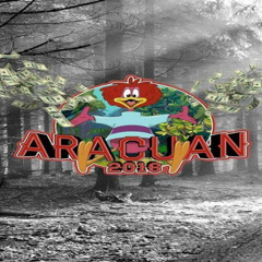 Aracuan 2016 - Technosnaus & Hilnigger (Loonar Remix)