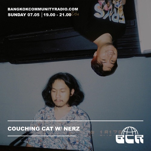 Couching Cat w/ NERZ - 7th May 2023