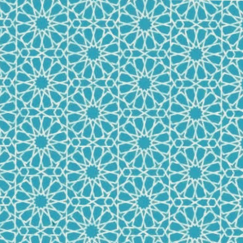 يَوْمَ تَرَى الْمُؤْمِنِينَ وَالْمُؤْمِنَاتِ يَسْعَىٰ نُورُهُم بَيْنَ أَيْدِيهِمْ || المنشاوي