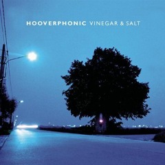 Hooverphonic - Vinegar And Salt (Wael Piano Cover)