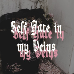 Self Hate in my Veins