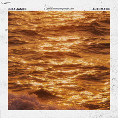 Automatic (ft. Cool Commune, Dani Sundream)