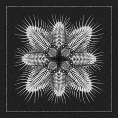 Premiere: Troma & PERS1 — Atomic [AQR027]