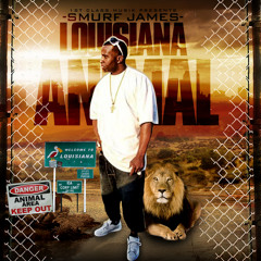 Bitch Im From Louisiana