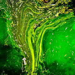 ONLY NOW (Ambient mix)