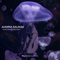 Premiere: Juanma Salinas - Around [WAYU Records]