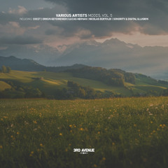 Sonority, Digital Illusion - Feel Slow Motion feat. Katska (Instrumental Version) [3rd Avenue]