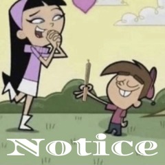 Notice ft J Magicc & Bdott