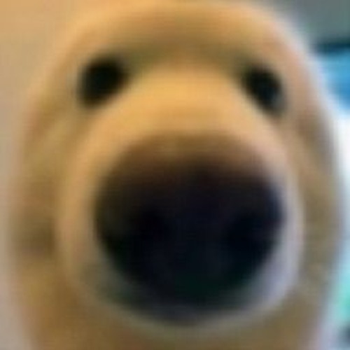 I Will Burn This Planet Down X Im Not Your Average American SUPER SLOWED (320 Kbps)