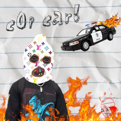 Cop Car